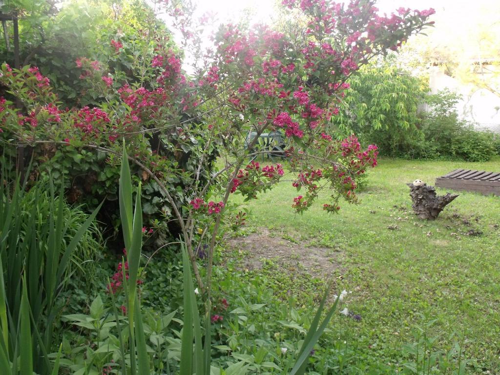 Kerekparos Es Zarandok Vendeghaz Villa Apostag Cameră foto